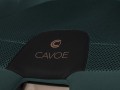 Cavoe Grand Prix Pro