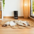Cecotec Pumba 6000 Purrfect Meal