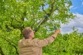 GARDENA EasyCut L 12031-20