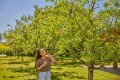 GARDENA StarCut Pro S 12080-20