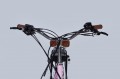Dorozhnik eRetro Vbr FR 500W 2025