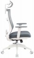 OfficePro Balance OC550