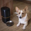 EMOS PET-102