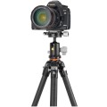 Vanguard VEO 5 234CB-110S