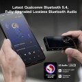 Questyle M18i