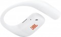 JBL Endurance Zone