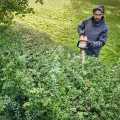 STIHL HSA 100