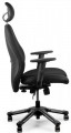 Barsky Hara Dolphin