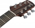 Ibanez AAD51LCE