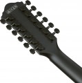 Ibanez AEG1221
