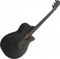 Ibanez AEG621