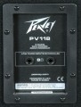 Peavey PV 118