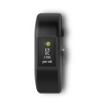 Garmin Vívosport