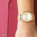 Timex TW2R36100