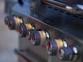 Weber Summit S-670 GBS