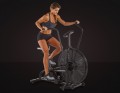 Assault Fitness AirBike