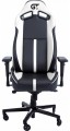 GT Racer X-8009