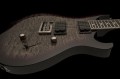 PRS SE Mark Holcomb