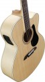 Alvarez AJ80CE