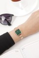 Daniel Wellington DW00100520