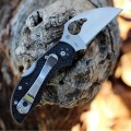 Spyderco Byrd Robin 2 Wharncliffe
