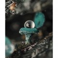 Olympus 90mm f/3.5 ED Macro IS Pro