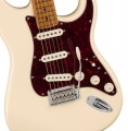 Fender Limited Edition Player Stratocaster