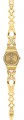 SWATCH Goldy Hug YSG164G