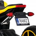 Ramiz Motor Future