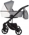 Baby-Merc Mosca 2 in 1