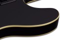 Schecter PT