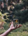 Braun Scouting Cam 800 Mini
