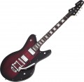 Schecter Robert Smith UltraCure