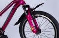 Formula Blackwood Vbr 20 2025