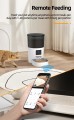 Rojeco Cat Feeder with Camera