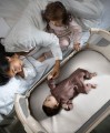 Maxi-Cosi Iora Air