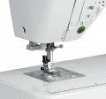 Minerva Touch Decor