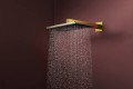 Hansgrohe Raindance Alive Q 340 24530000