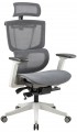 ADAPWORK S2 Mesh Senior ErgoChair