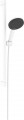 Hansgrohe Raindance Alive Select S 125 EcoSmart 24600000