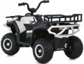 Bambi M6127EBLR