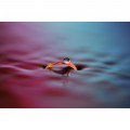 Sony 100mm f/2.8 GM FE Macro
