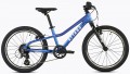 Attabo Rash 20