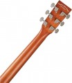 Tanglewood TR5