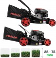 PROLINE P30040
