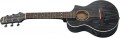 Ibanez EWP16EWB