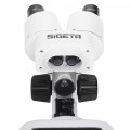 Sigeta MS-244 LED 20x Bino Stereo