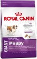 Royal Canin Giant Puppy 4 кг