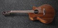 Ibanez AE2912