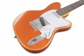 Ibanez YY20